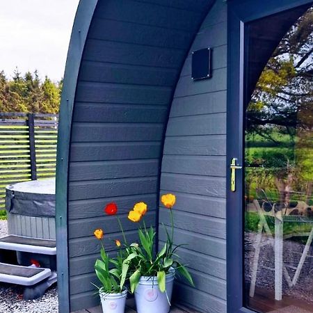 Apartament Odli Glamping - Deri Welshpool Zewnętrze zdjęcie