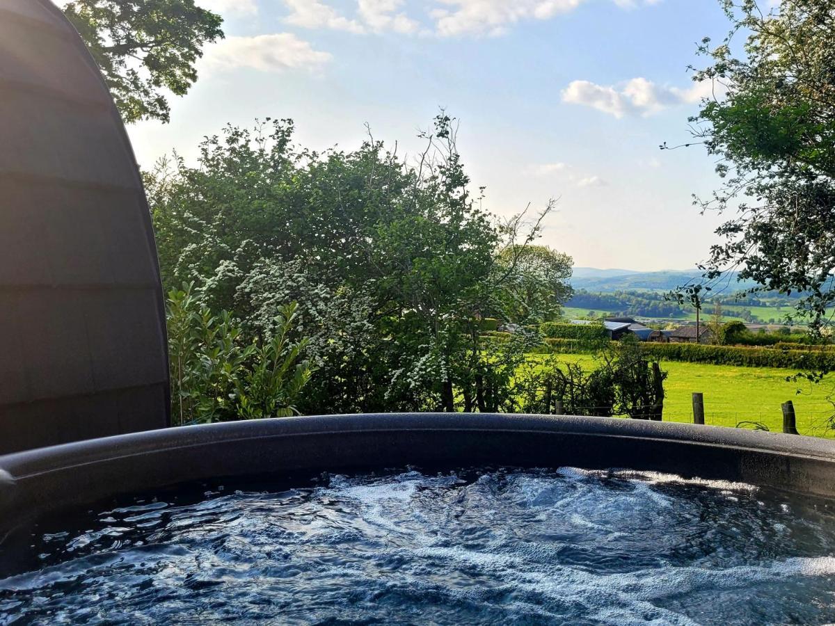 Apartament Odli Glamping - Deri Welshpool Zewnętrze zdjęcie
