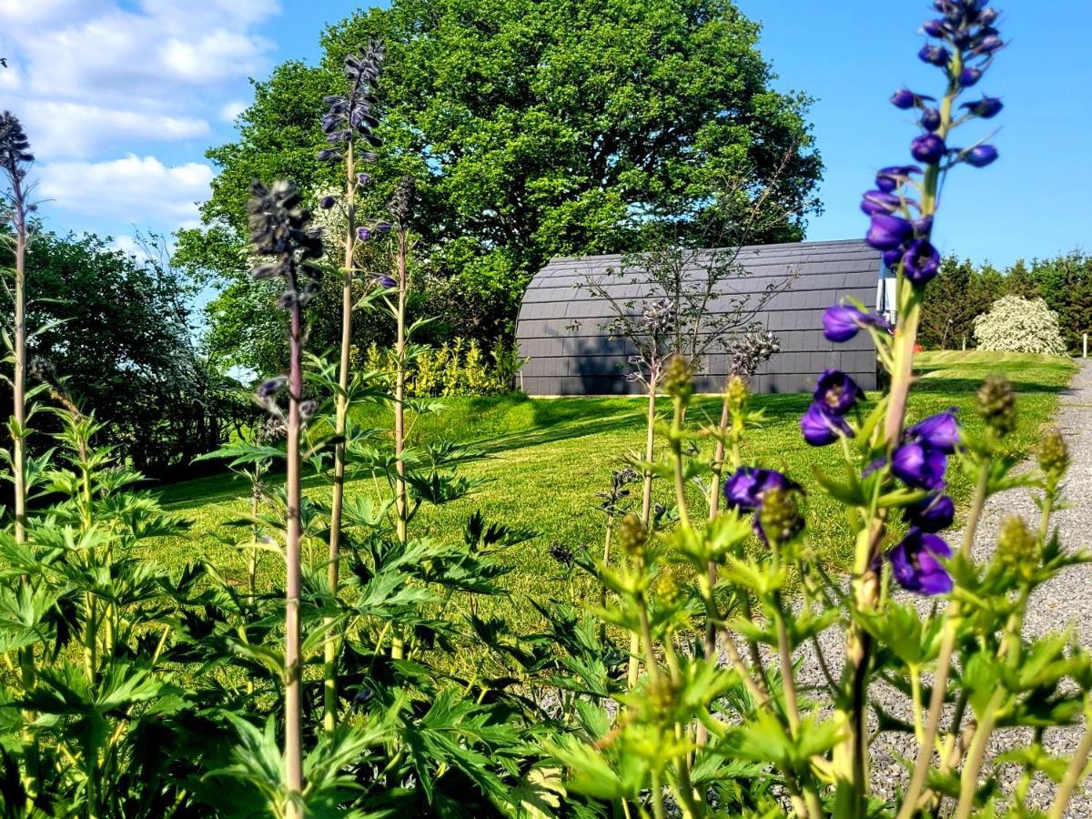 Apartament Odli Glamping - Deri Welshpool Zewnętrze zdjęcie