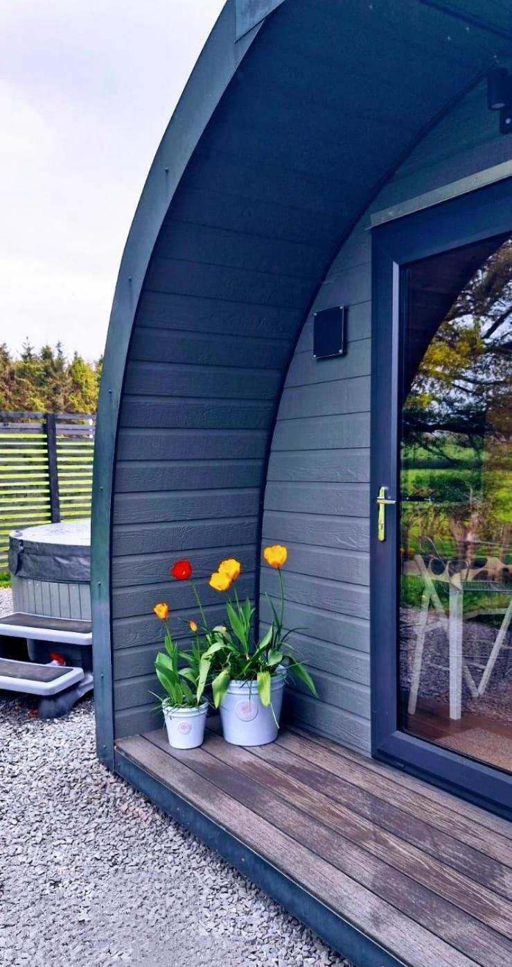 Apartament Odli Glamping - Deri Welshpool Zewnętrze zdjęcie